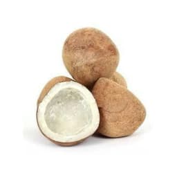 Dry Coconut